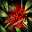 Trynda Dive lvl2#BR2